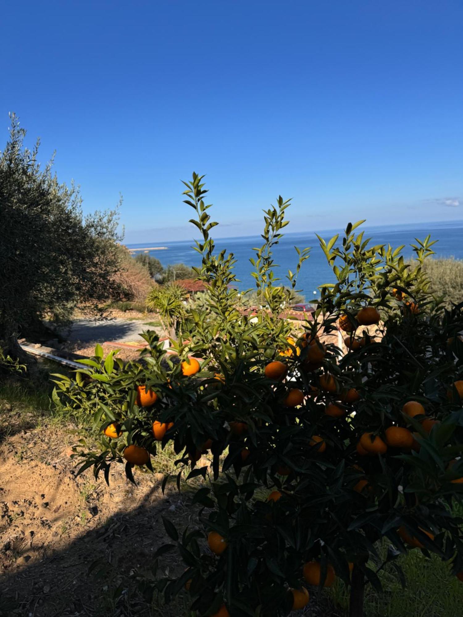 Mareblu Bed & Breakfast Cefalu Bagian luar foto